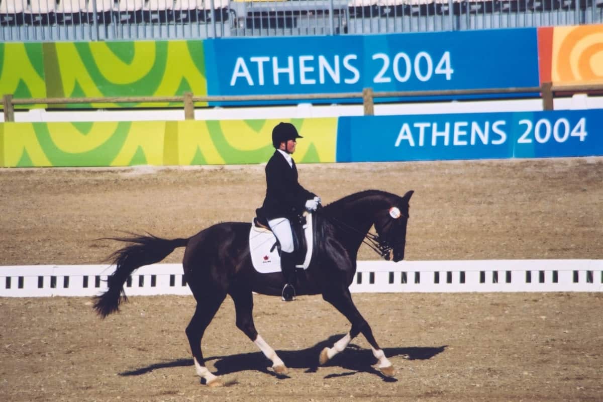 equestrian sport athens 2004 image page (4)